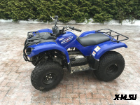 Квадроцикл Grizzly 125