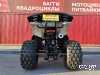 Квадроцикл WELS Thunder E2