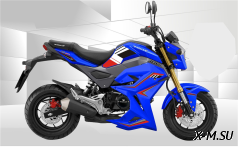 Мотоцикл PROMAX STRYKER 200(49) OFF-ROAD 2.0