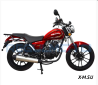 Мотоцикл Regulmoto SK 200-8