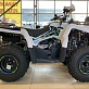 Квадроцикл PROMAX RENEGADE 300 WINCH