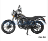 Мотоцикл Regulmoto SK 200-8