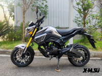 Мотоцикл PROMAX MSX200 CROM (49)